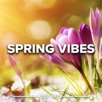 Spring Vibes (2023) FLAC