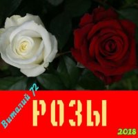 Cборник - Розы (2018) MP3