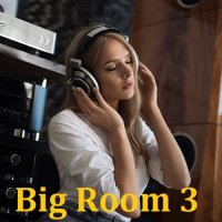 Big Room 3 (2023) MP3