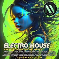 Electro House Induction Of Rhythms and Melodi (2024) MP3