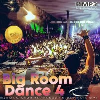 Big Room Dance 4 (2025) MP3